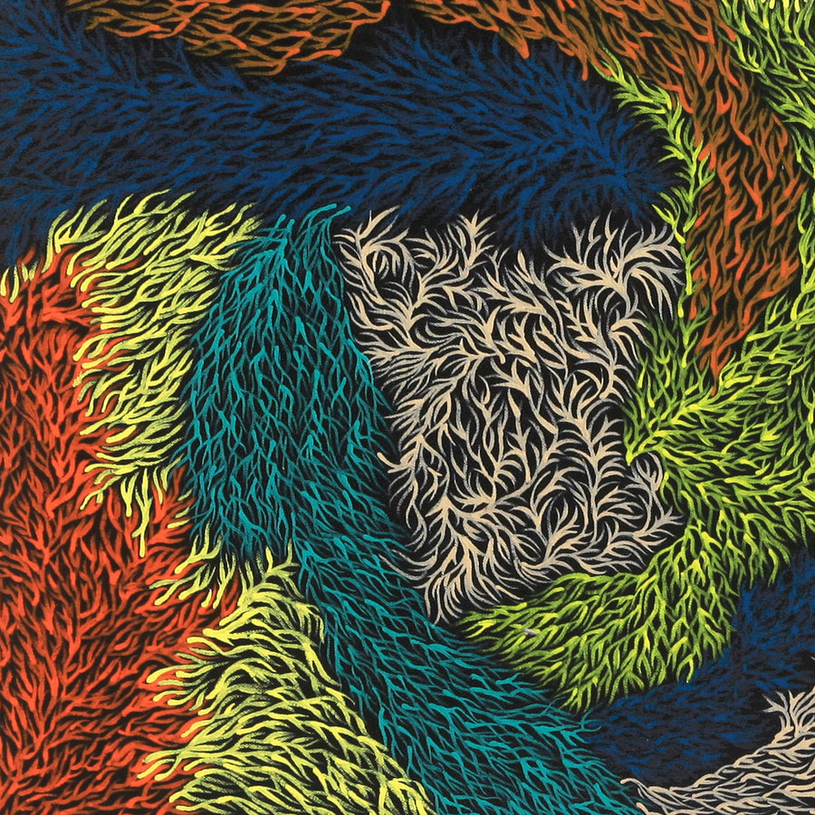 Aboriginal Artwork by Patricia Multa, Bush flowers and seeds, 60x60cm