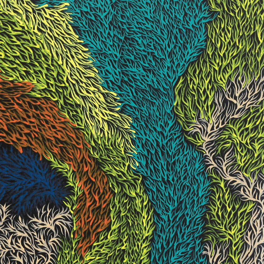 Aboriginal Artwork by Patricia Multa, Bush flowers and seeds, 60x60cm