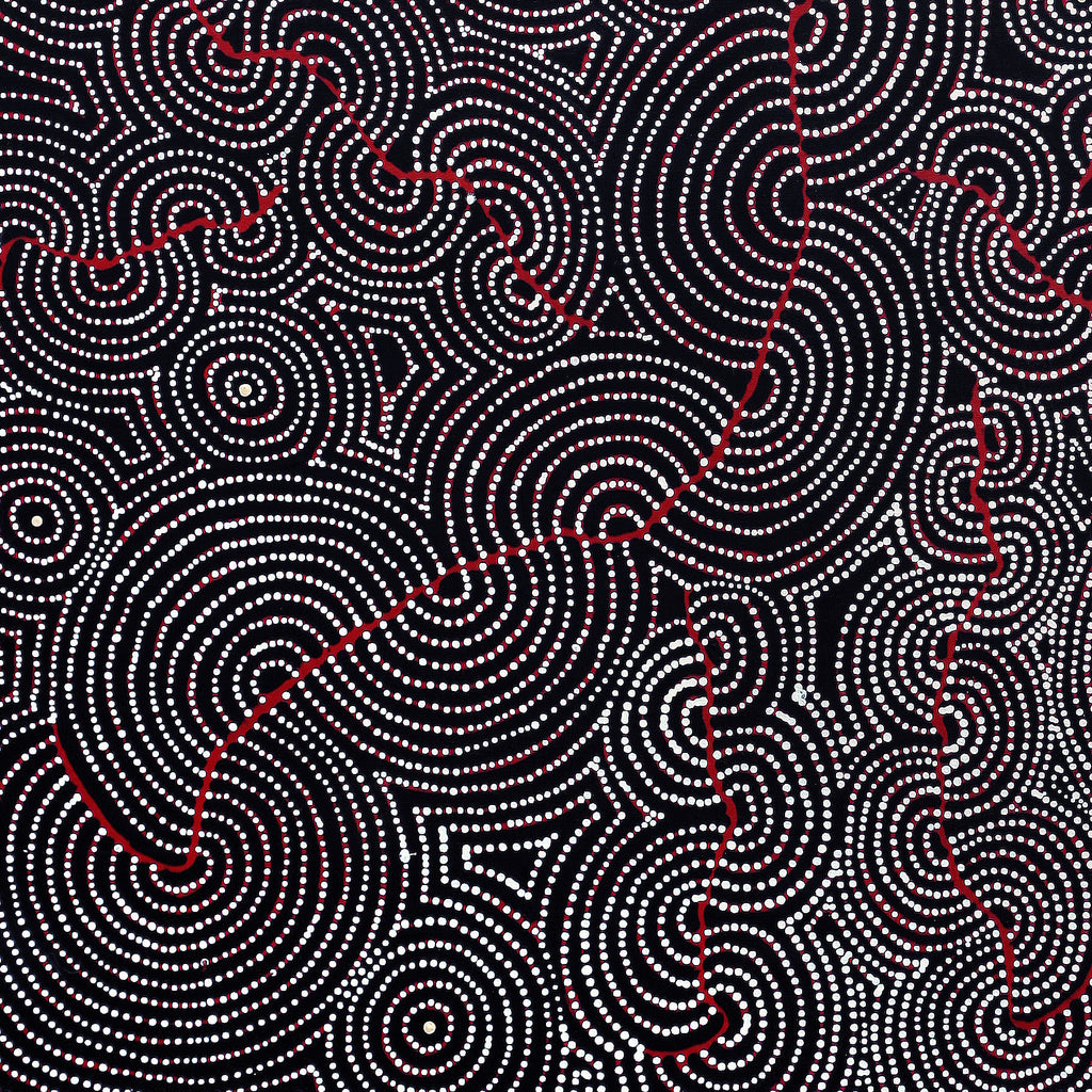 Aboriginal Artwork by Patrick Japangardi Williams, Mina Mina Jukurrpa (Mina Mina Dreaming) - Janyinki, 107x91cm