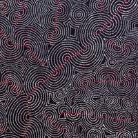Aboriginal Artwork by Patrick Japangardi Williams, Mina Mina Jukurrpa (Mina Mina Dreaming) - Janyinki, 107x91cm