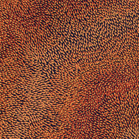 Aboriginal Art by Pauline Coombes, Bushfire painting, 122x51cm - ART ARK®