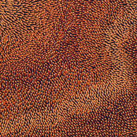 Aboriginal Art by Pauline Coombes, Bushfire painting, 122x51cm - ART ARK®