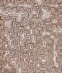 Aboriginal Artwork by Pauline Napangardi Gallagher, Lukarrara Jukurrpa, 107x91cm