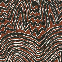 Aboriginal Art by Pauline Napangardi Gallagher, Lukarrara Jukurrpa, 122x122cm - ART ARK®