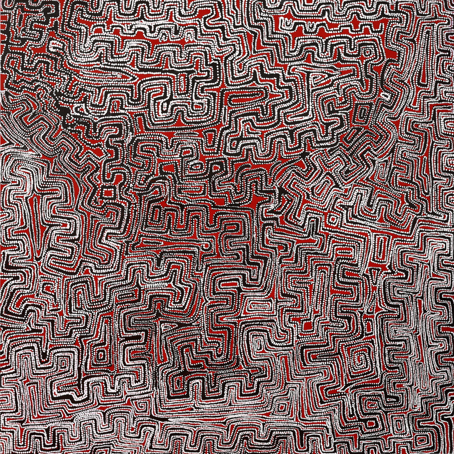 Aboriginal Artwork by Pauline Napangardi Gallagher, Lukarrara Jukurrpa, 122x122cm