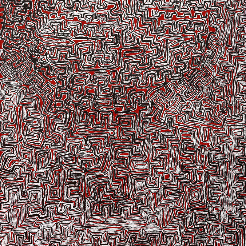 Aboriginal Artwork by Pauline Napangardi Gallagher, Lukarrara Jukurrpa, 122x122cm