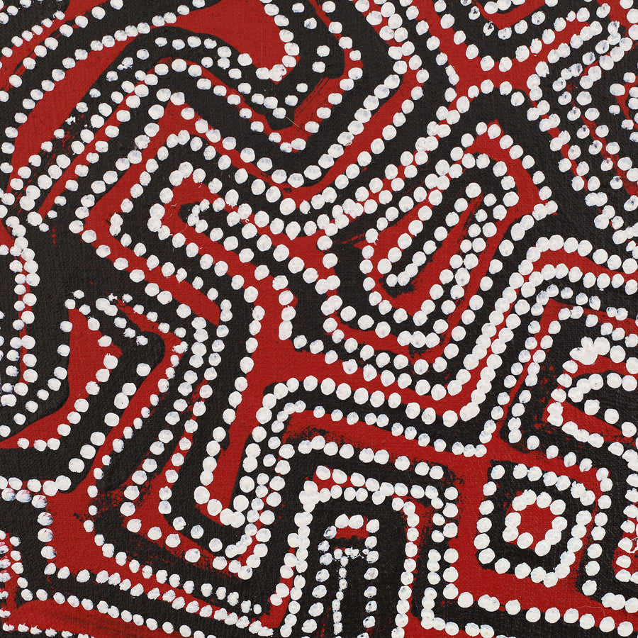 Aboriginal Artwork by Pauline Napangardi Gallagher, Lukarrara Jukurrpa, 122x122cm