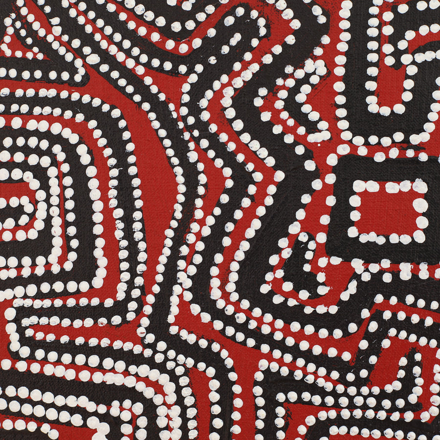 Aboriginal Artwork by Pauline Napangardi Gallagher, Lukarrara Jukurrpa, 122x122cm