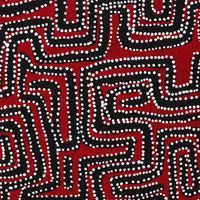 Aboriginal Artwork by Pauline Napangardi Gallagher, Lukarrara Jukurrpa, 152x122cm