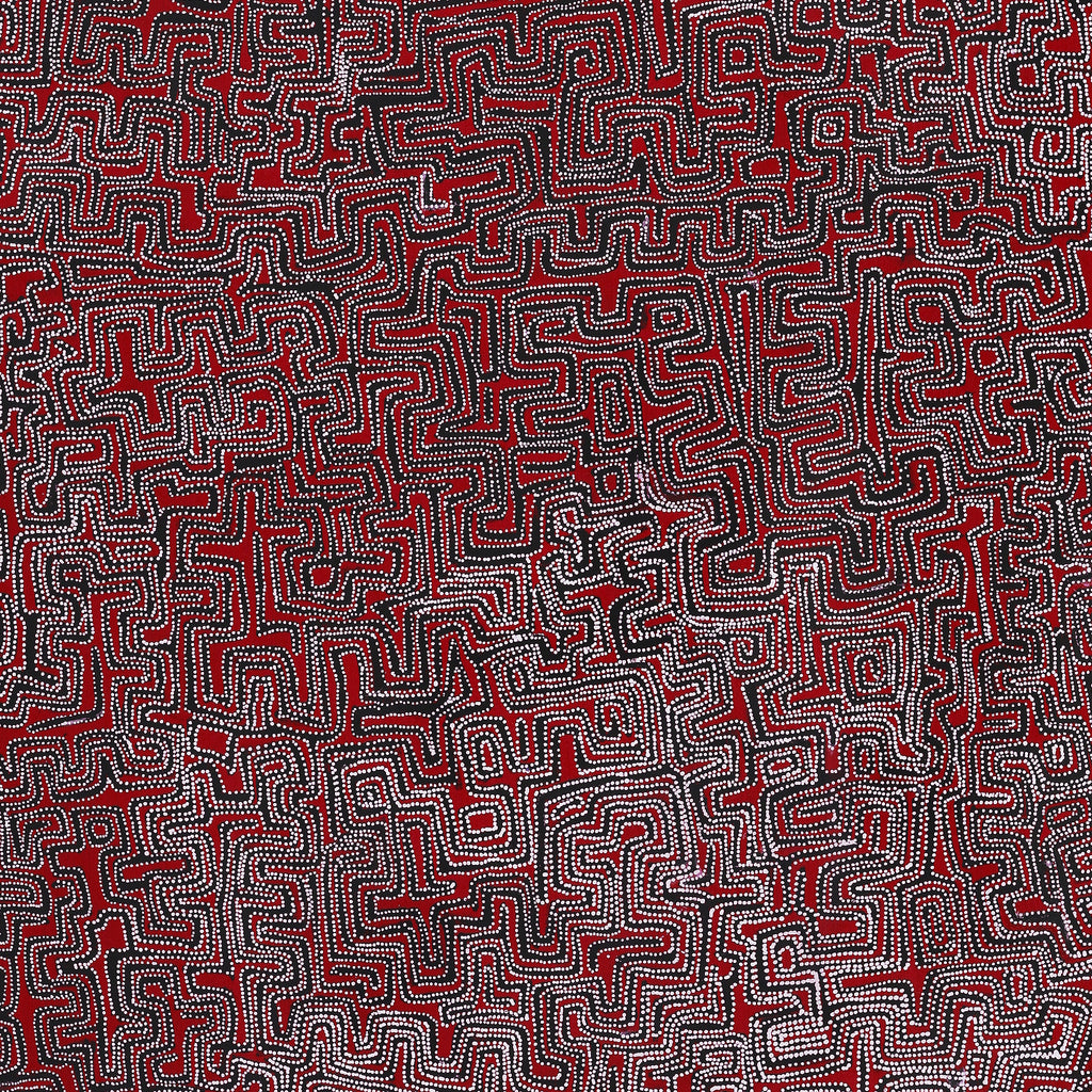 Aboriginal Artwork by Pauline Napangardi Gallagher, Lukarrara Jukurrpa, 152x122cm