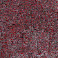 Aboriginal Artwork by Pauline Napangardi Gallagher, Lukarrara Jukurrpa, 152x122cm