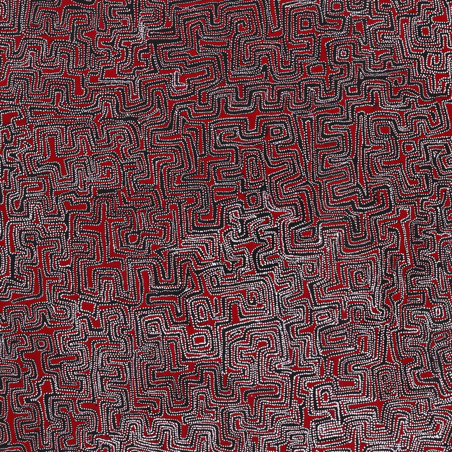 Aboriginal Artwork by Pauline Napangardi Gallagher, Lukarrara Jukurrpa, 152x122cm