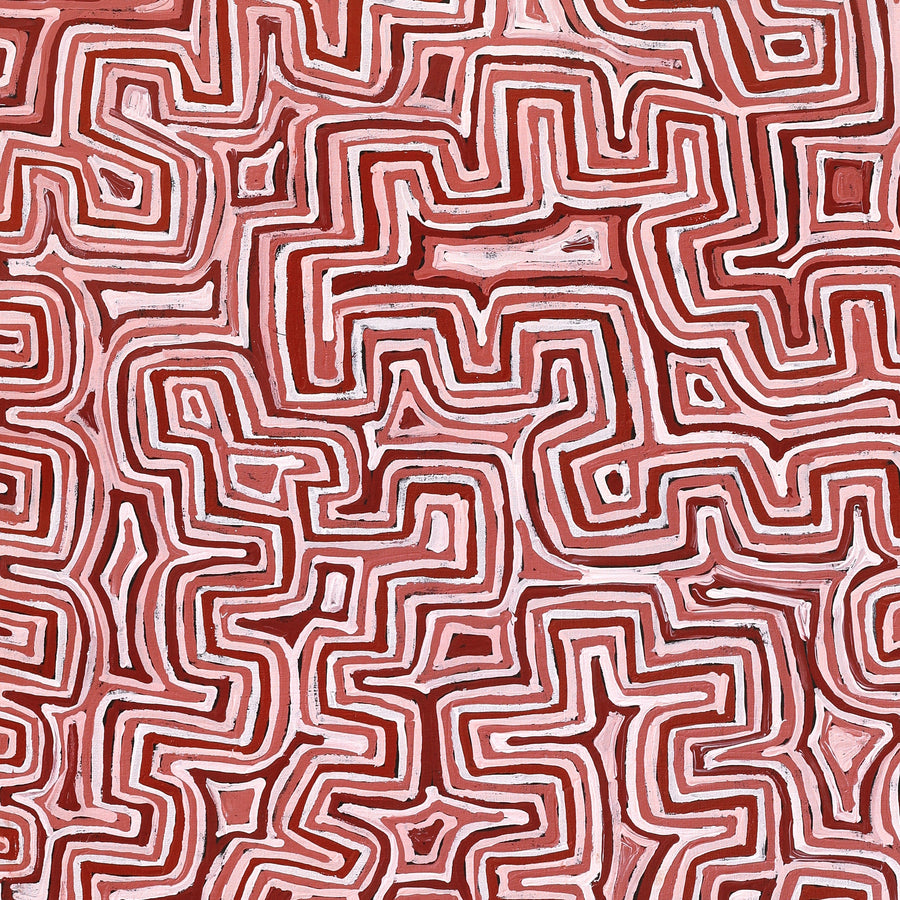 Aboriginal Artwork by Pauline Napangardi Gallagher, Lukarrara Jukurrpa, 152x76cm