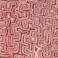 Aboriginal Artwork by Pauline Napangardi Gallagher, Lukarrara Jukurrpa, 152x76cm