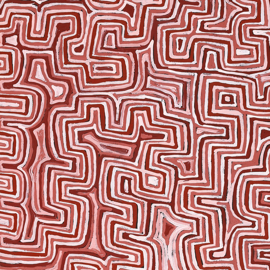 Aboriginal Artwork by Pauline Napangardi Gallagher, Lukarrara Jukurrpa, 152x76cm