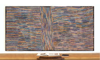 Aboriginal Artwork by Pauline Napangardi Gallagher, Mina Mina Jukurrpa, 240x122cm