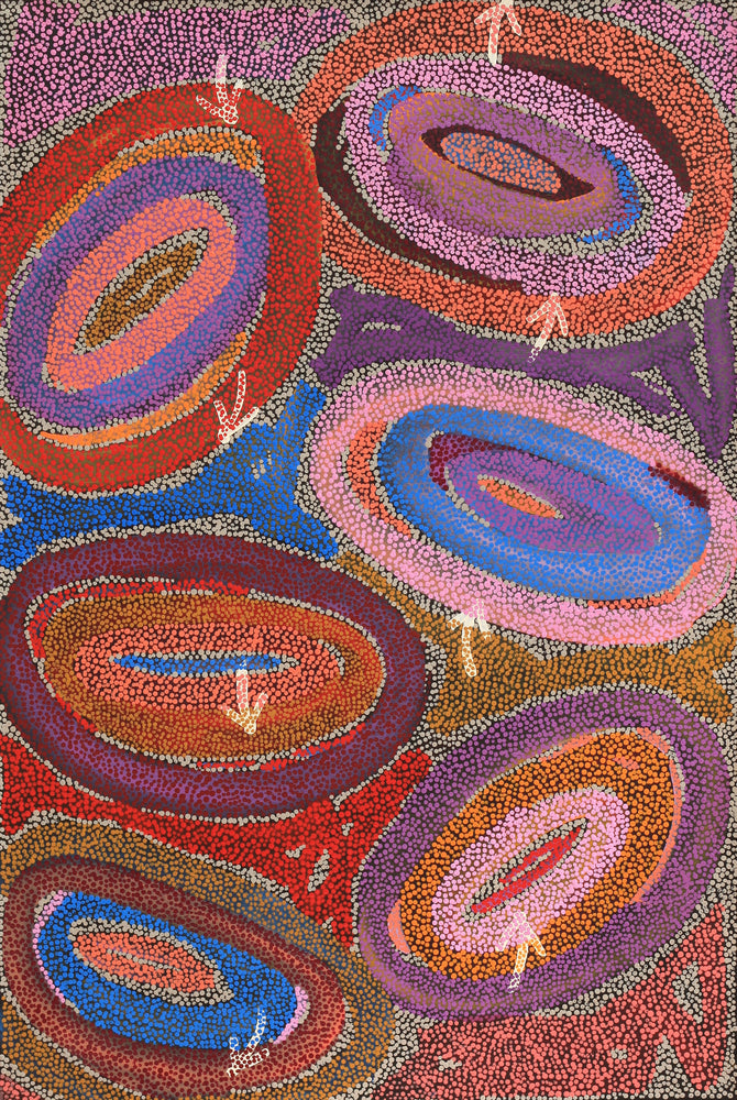 Aboriginal Artwork by Pauline Nampijinpa Singleton, Yankirri Jukurrpa (Emu Dreaming) - Ngarlikurlangu, 91x61cm