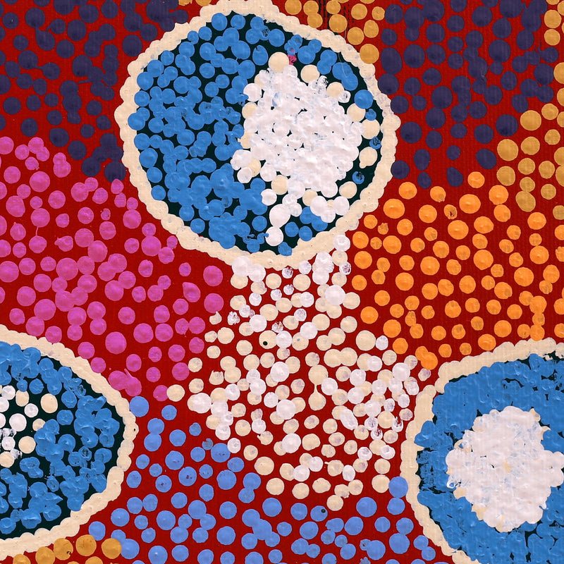 Aboriginal Artwork by Pamela Napurrurla Walker, Janganpa Jukurrpa (Brush-tail Possum Dreaming) - Mawurrji, 30x30cm