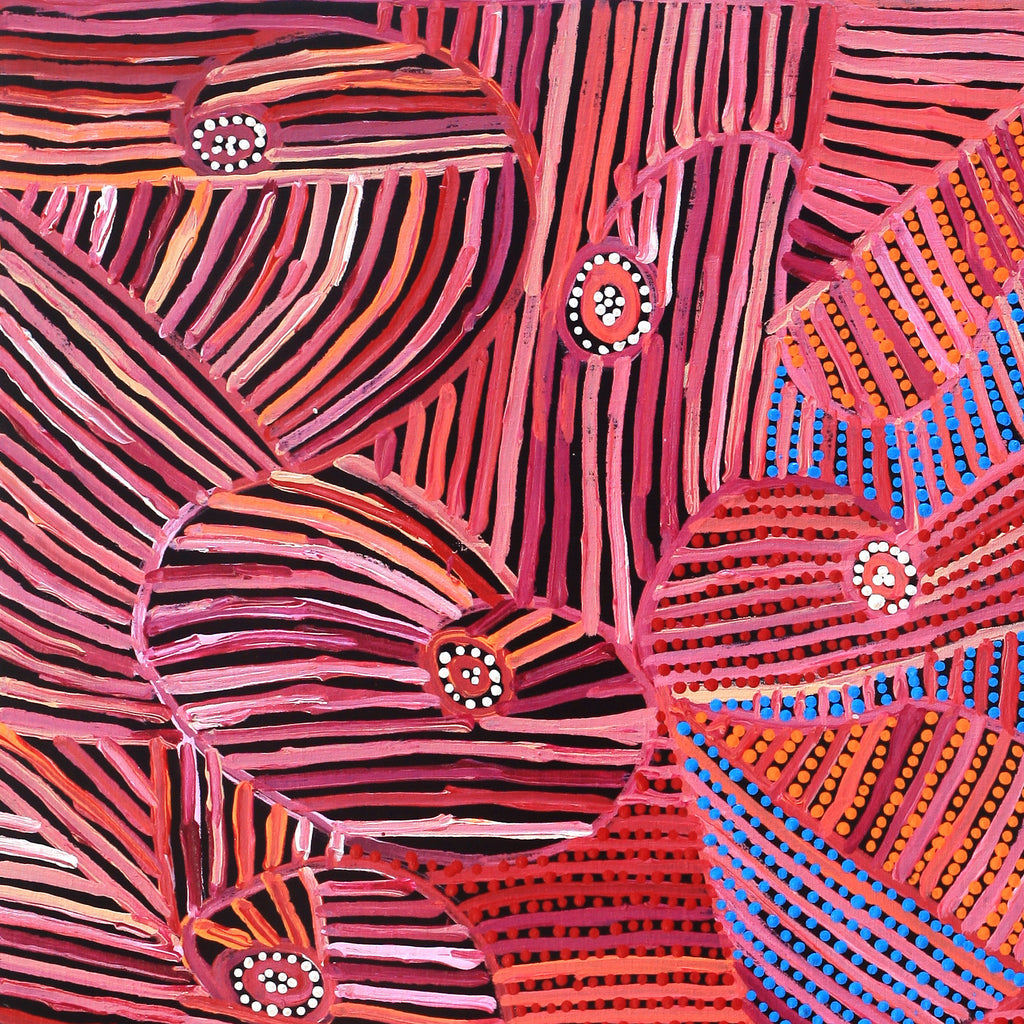 Aboriginal Artwork by Pauline Napangardi Gallagher, Mina Mina Jukurrpa, 91x76cm