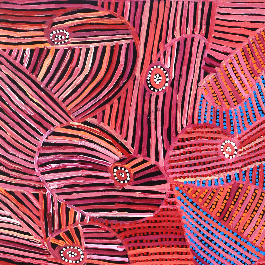 Aboriginal Artwork by Pauline Napangardi Gallagher, Mina Mina Jukurrpa, 91x76cm