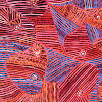 Aboriginal Artwork by Pauline Napangardi Gallagher, Mina Mina Jukurrpa, 91x76cm