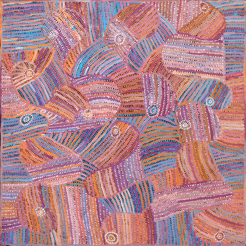 Aboriginal Artwork by Pauline Napangardi Gallagher, Mina Mina Jukurrpa, 107x107cm