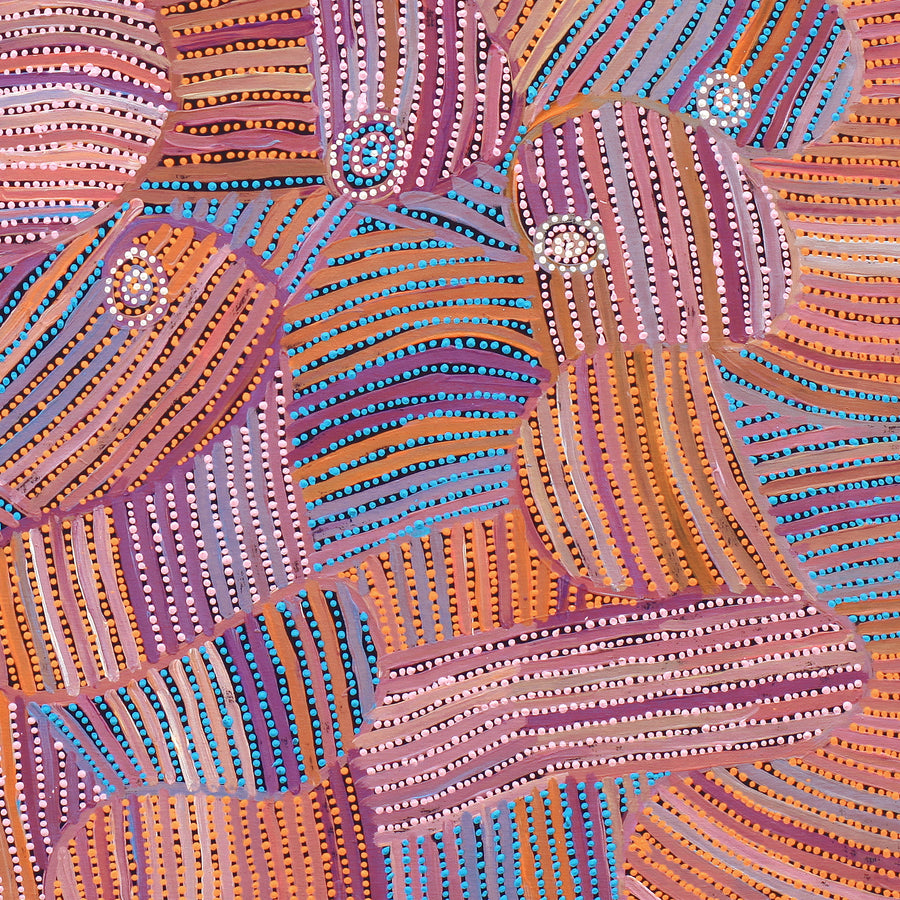 Aboriginal Artwork by Pauline Napangardi Gallagher, Mina Mina Jukurrpa, 107x107cm