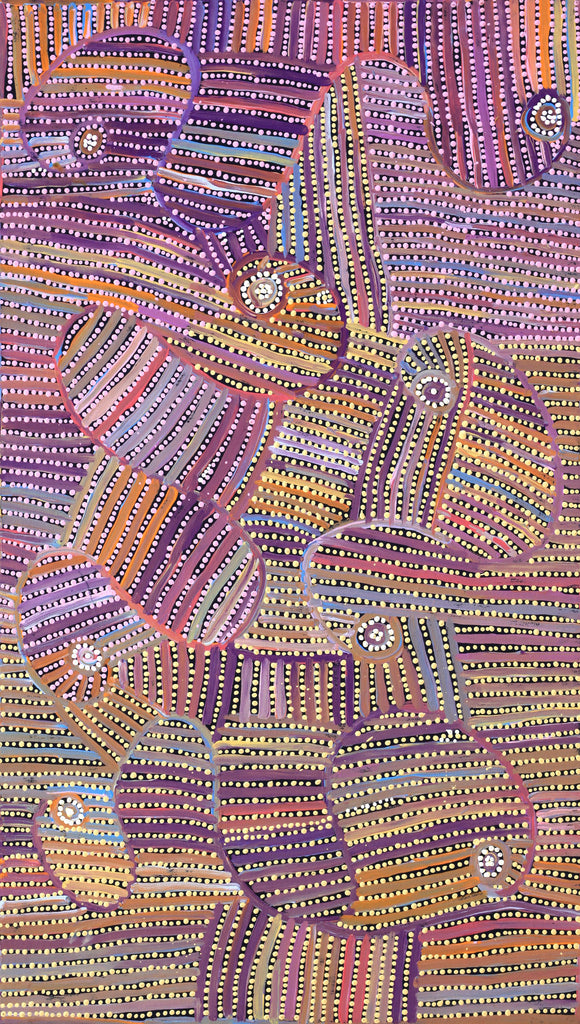 Aboriginal Artwork by Pauline Napangardi Gallagher, Mina Mina Jukurrpa, 107x61cm