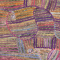 Aboriginal Artwork by Pauline Napangardi Gallagher, Mina Mina Jukurrpa, 107x61cm