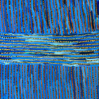 Aboriginal Artwork by Pauline Napangardi Gallagher, Mina Mina Jukurrpa, 107x91cm