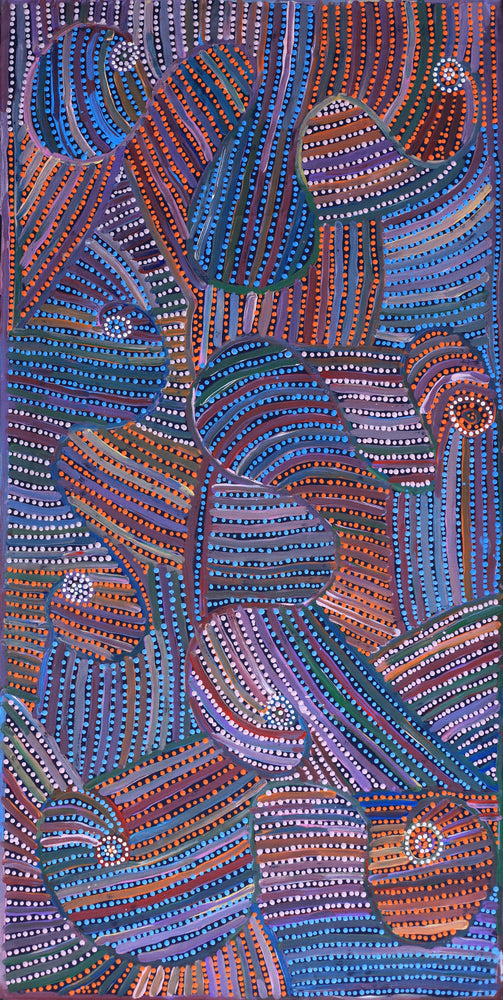 Aboriginal Artwork by Pauline Napangardi Gallagher, Mina Mina Jukurrpa, 122x61cm