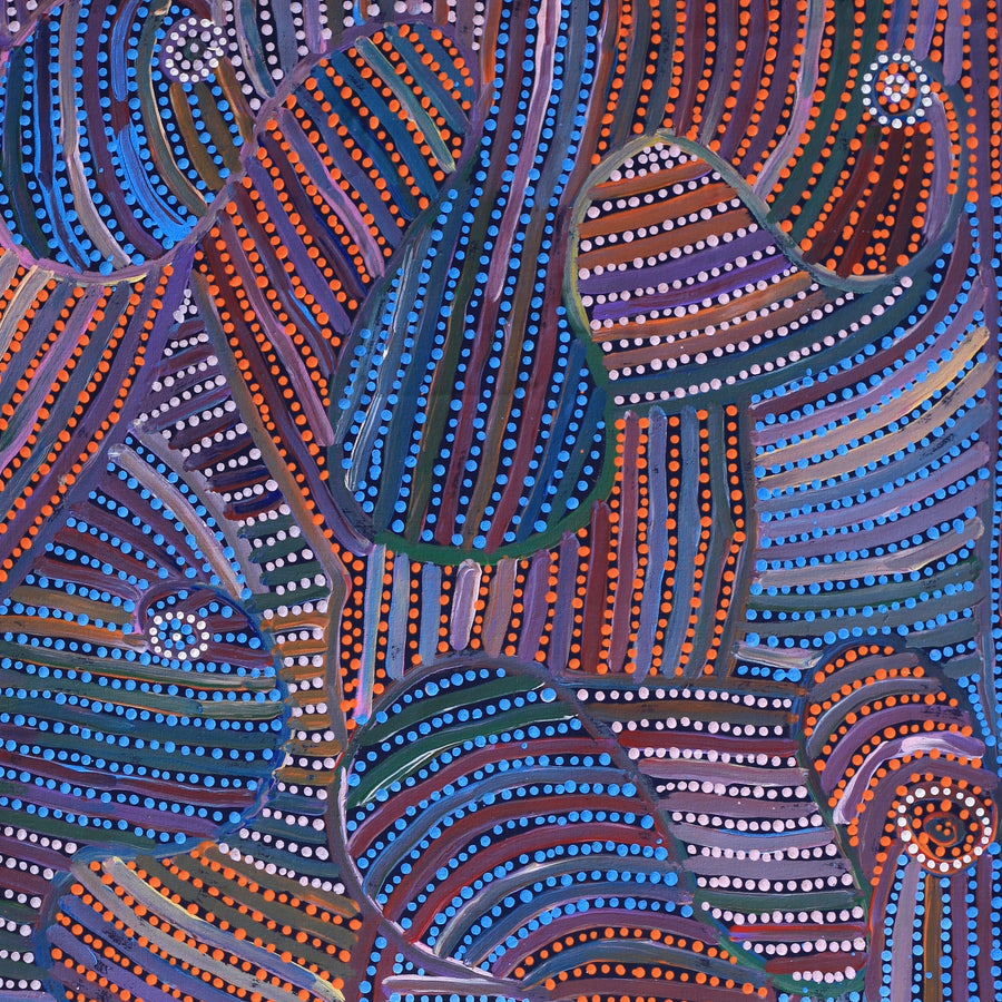Aboriginal Artwork by Pauline Napangardi Gallagher, Mina Mina Jukurrpa, 122x61cm