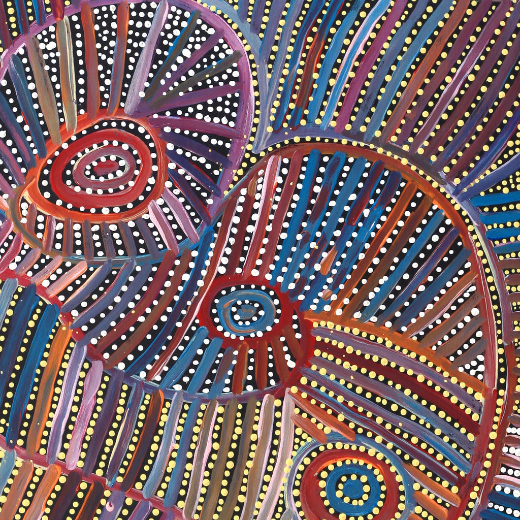 Aboriginal Artwork by Pauline Napangardi Gallagher, Mina Mina Jukurrpa, 76x61cm