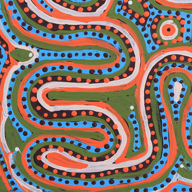 Aboriginal Artwork by Pauline Napangardi Gallagher, Mina Mina Jukurrpa, 30x30cm