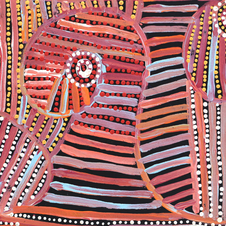 Aboriginal Artwork by Pauline Napangardi Gallagher, Mina Mina Jukurrpa, 76x30cm
