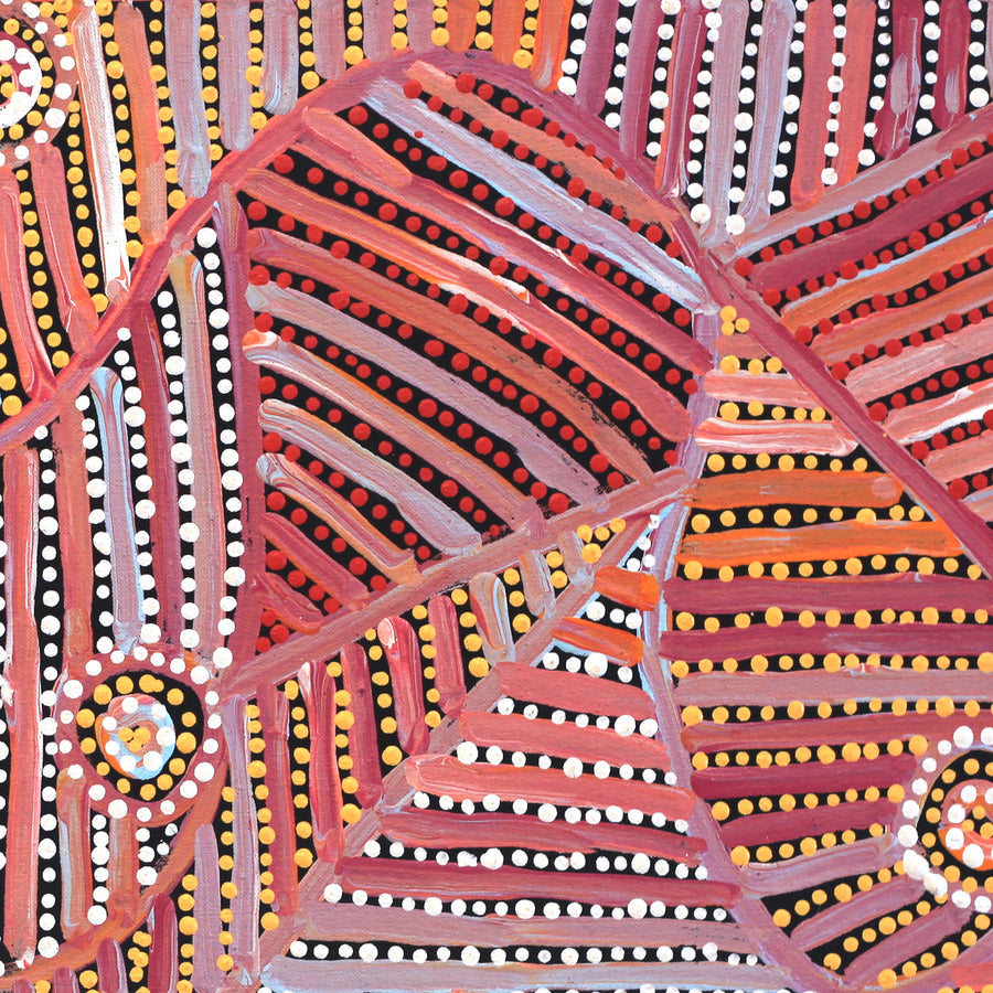 Aboriginal Artwork by Pauline Napangardi Gallagher, Mina Mina Jukurrpa, 76x30cm