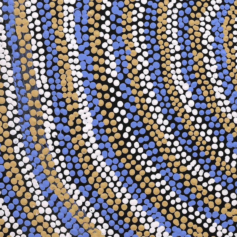 Aboriginal Artwork by Peggy Nampijinpa Brown, Warlukurlangu Jukurrpa (Fire country Dreaming), 50x40cm