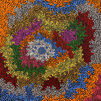 Aboriginal Artwork by Peggy Napurrurla Granites, Pirlarla Jukurrpa (Dogwood Tree Bean Dreaming), 30x30cm