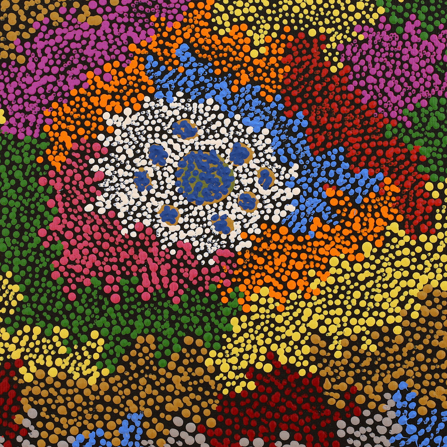 Aboriginal Artwork by Peggy Napurrurla Granites, Pirlarla Jukurrpa (Dogwood Tree Bean Dreaming), 30x30cm