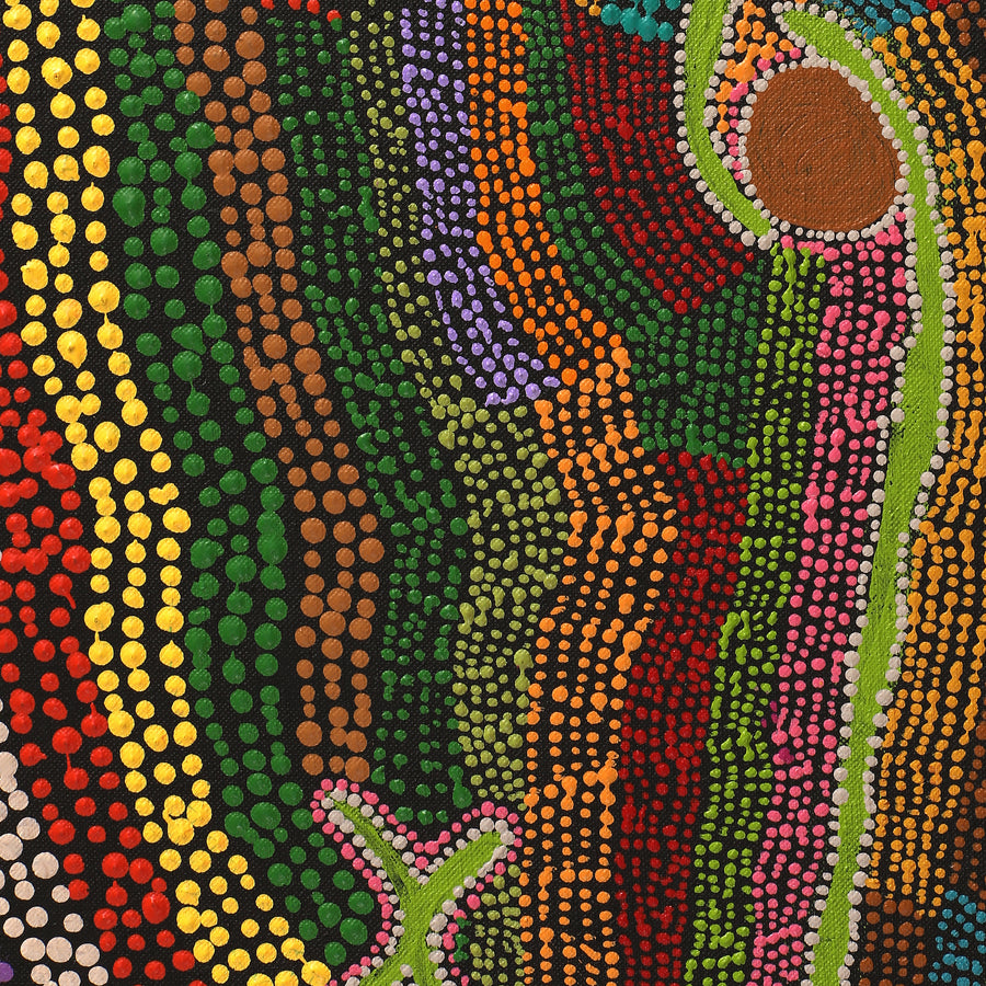 Aboriginal Artwork by Peggy Napurrurla Granites, Pirlarla Jukurrpa (Dogwood Tree Bean Dreaming), 91x61cm