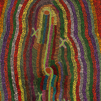 Aboriginal Artwork by Peggy Napurrurla Granites, Pirlarla Jukurrpa (Dogwood Tree Bean Dreaming), 91x61cm