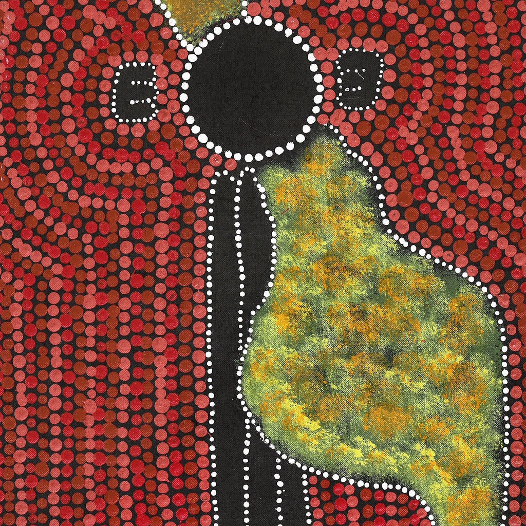 Aboriginal Artwork by Peterson Jakamarra Walker, Janganpa Jukurrpa (Brush-tail Possum Dreaming), 76x30cm