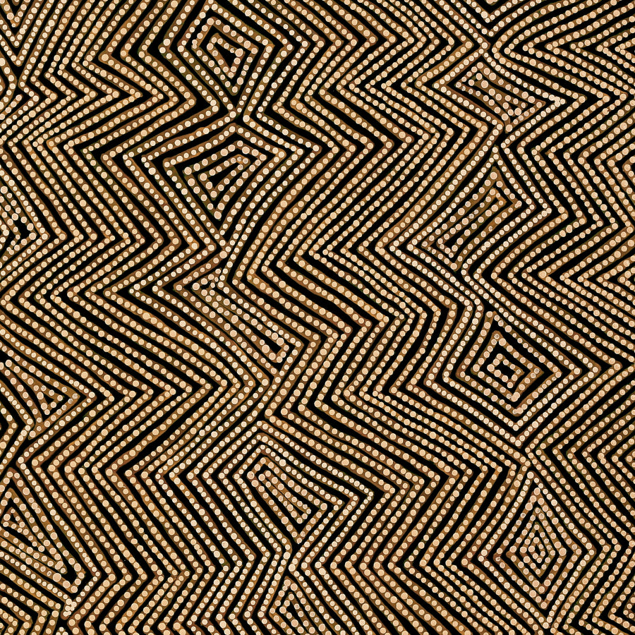 Aboriginal Artwork by Phyllis Donegan, Walka Wiru Ngura Wiru, 152x72cm