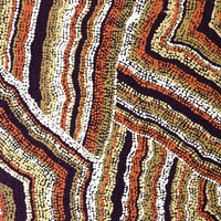 Aboriginal Artwork by Polly Anne Napangardi Dixon, Mina Mina Dreaming - Ngalyipi, 76x46cm