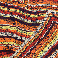 Aboriginal Artwork by Polly Anne Napangardi Dixon, Mina Mina Dreaming - Ngalyipi, 61x46cm