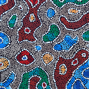 Aboriginal Artwork by Priscilla Napurrurla Herbert, Lukarrara Jukurrpa, 30x30cm - ART ARK®