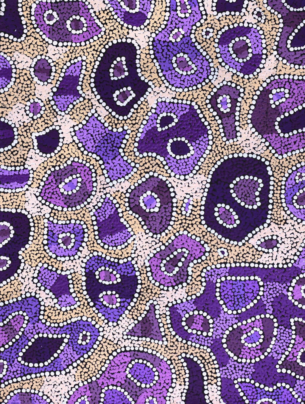 Aboriginal Artwork by Priscilla Napurrurla Herbert, Lukarrara Jukurrpa, 61x46cm
