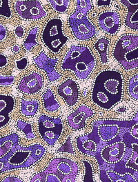 Aboriginal Artwork by Priscilla Napurrurla Herbert, Lukarrara Jukurrpa, 61x46cm