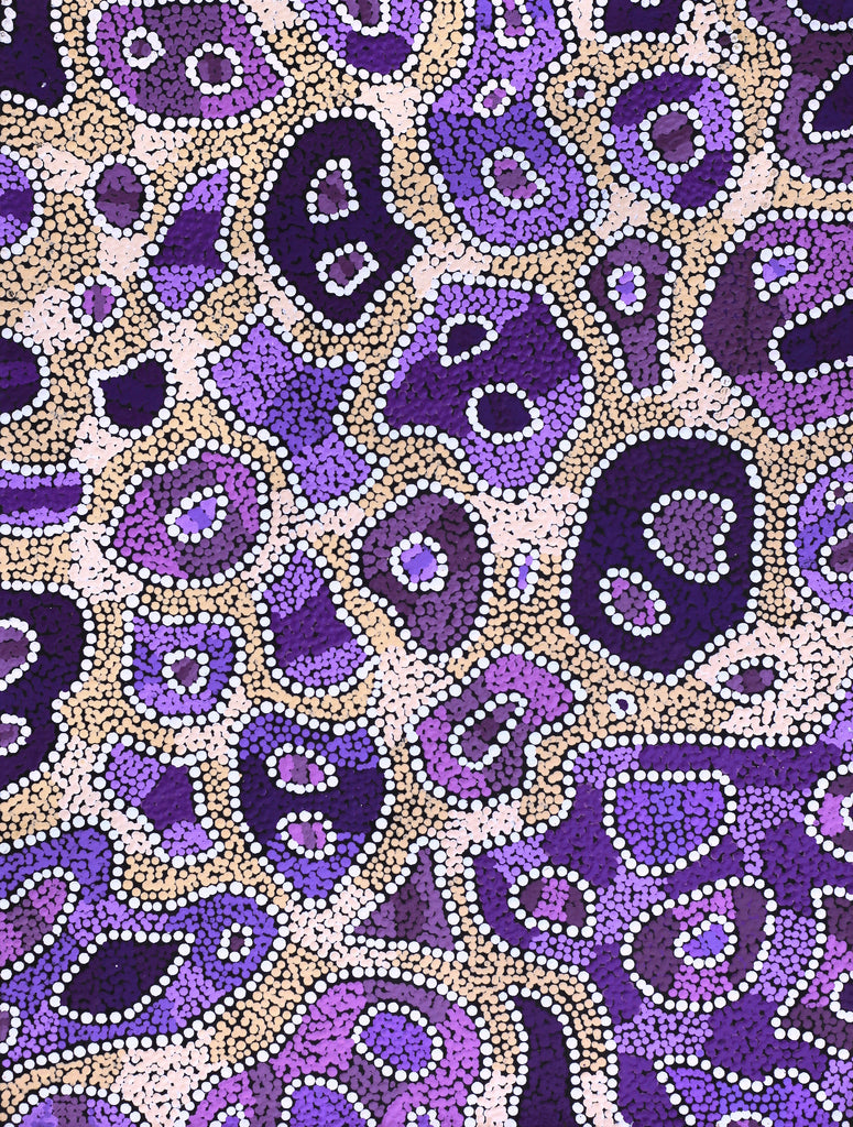 Aboriginal Artwork by Priscilla Napurrurla Herbert, Lukarrara Jukurrpa, 61x46cm - ART ARK®