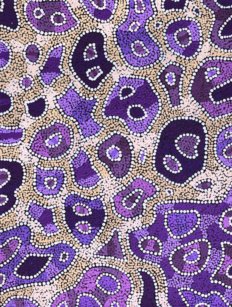 Aboriginal Artwork by Priscilla Napurrurla Herbert, Lukarrara Jukurrpa, 61x46cm